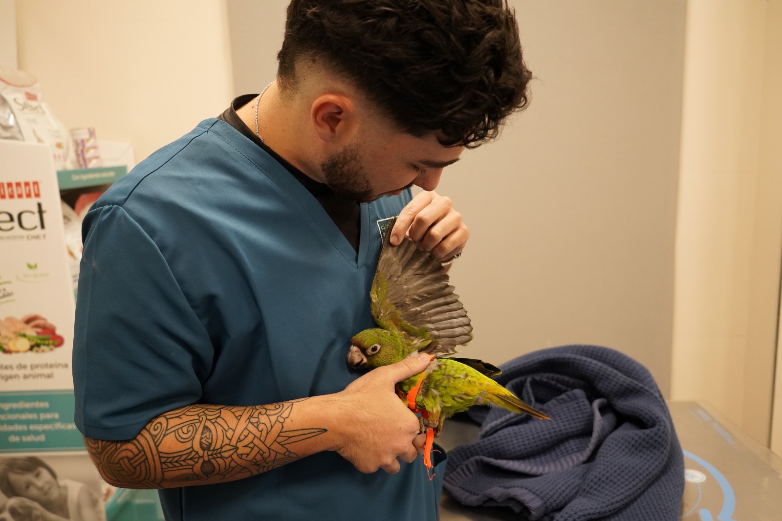 Golden Retriever atendido en la clínica veterinaria